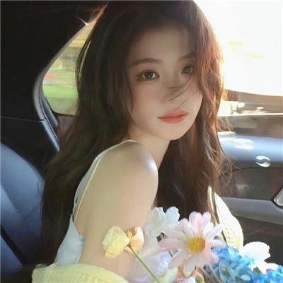 海龟奇妙之旅